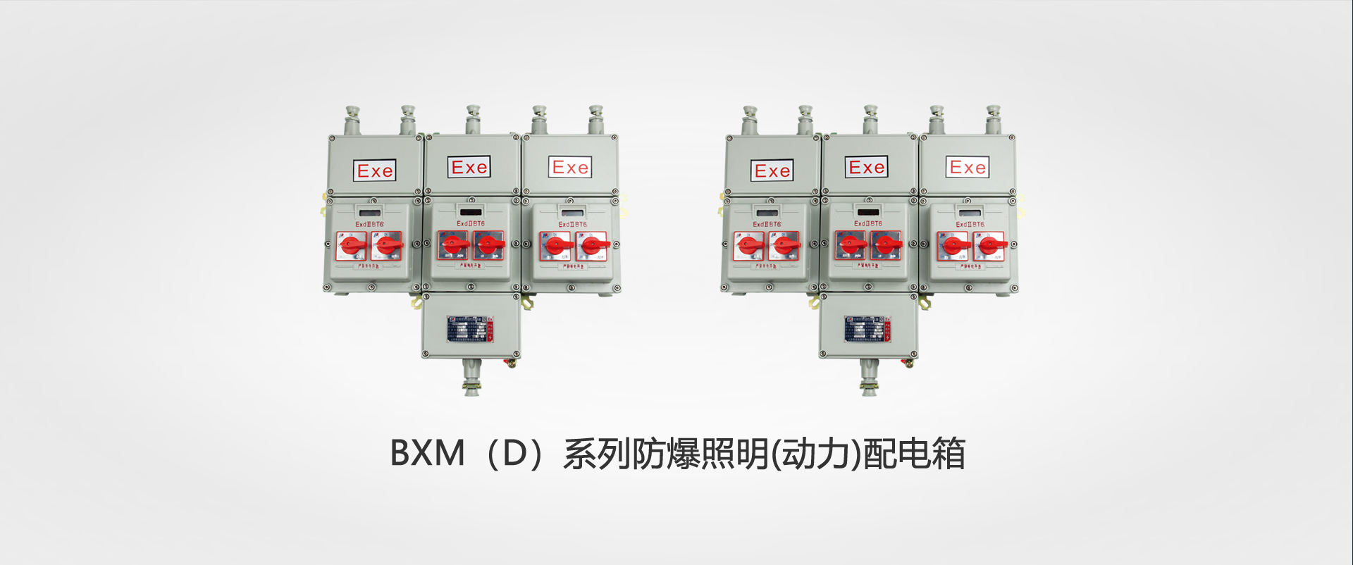 BXM（D）系列防爆照明(動力)配電箱